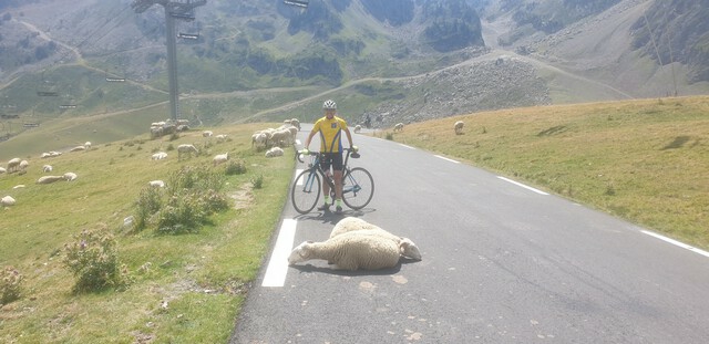 imgpyrenees1